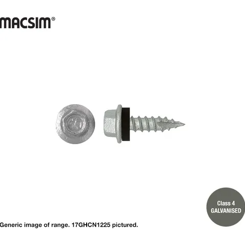 TYPE 17 SCREWS 12GX25MM