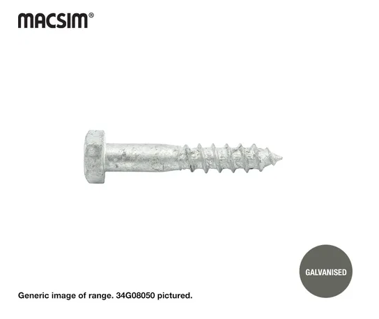 Coach Screw 10mm