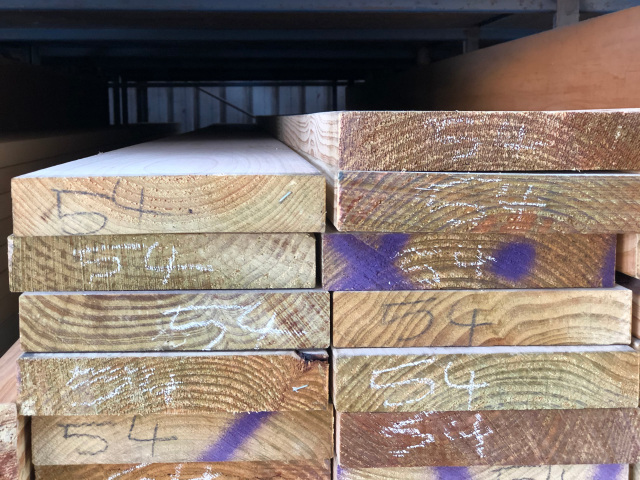 Treated Pine 240x45